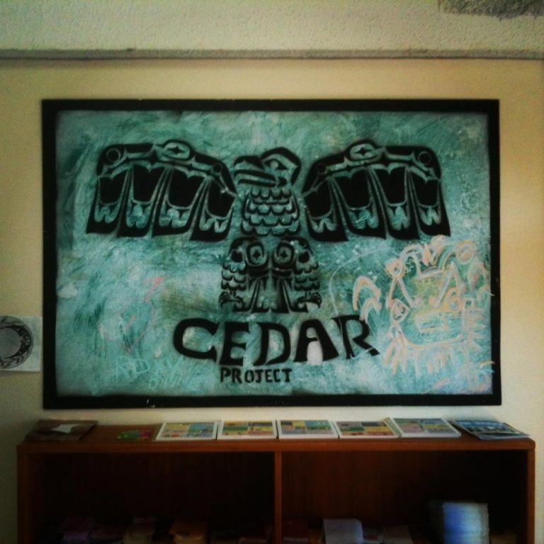 Cedar Project picture